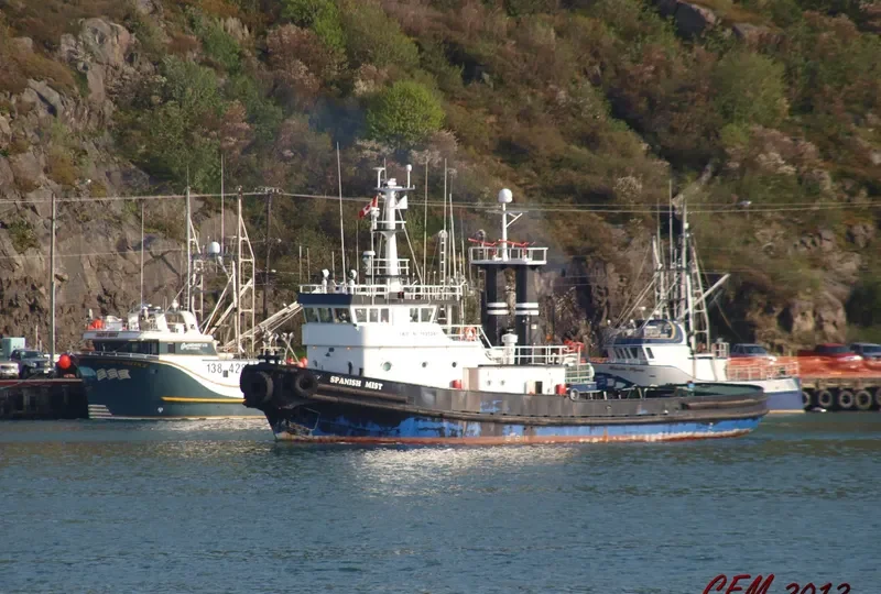 SPANISH MIST General Cargo IMO 7925247 photo 5