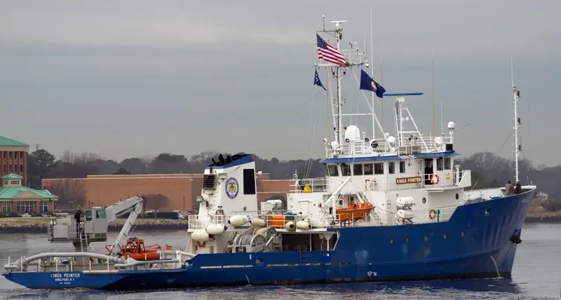 KINGS POINTER General Cargo IMO 7925302 photo 10