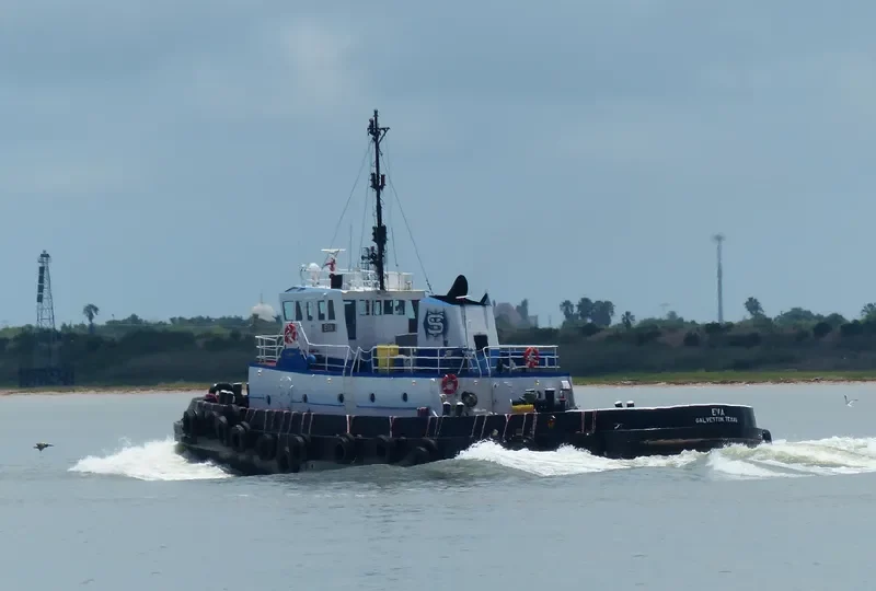 EVA Tug Boat IMO 7925340 photo 2