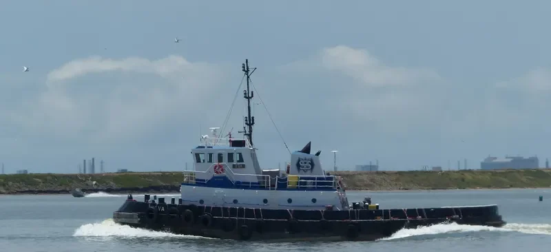 EVA Tug Boat IMO 7925340 photo 4