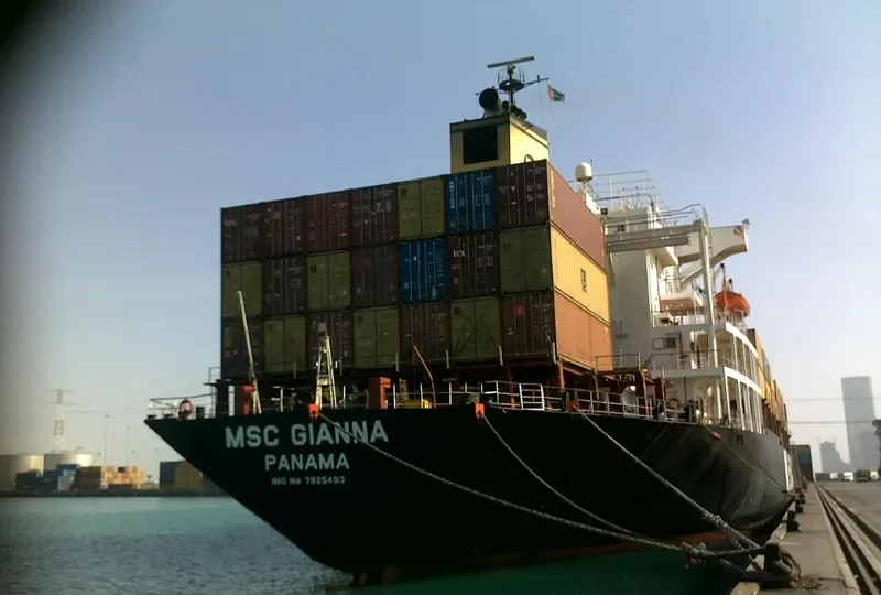 MSC GIANNA Container Ship IMO 7925493 photo 7
