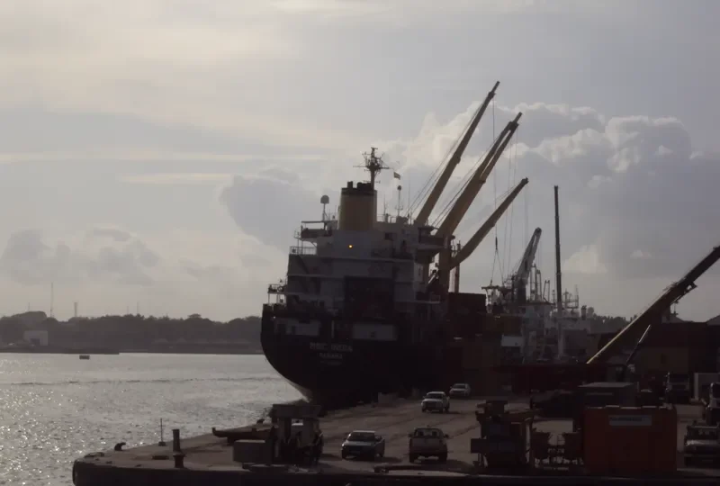 MSC IMMA Container Ship IMO 7925508