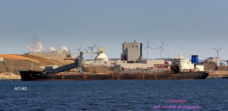 PIONEER Bulk Carrier IMO 7925613 photo 3