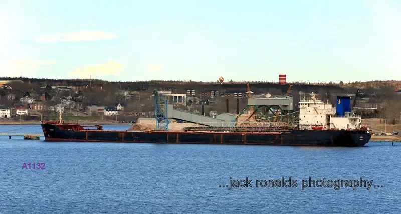 PIONEER Bulk Carrier IMO 7925613 photo 4