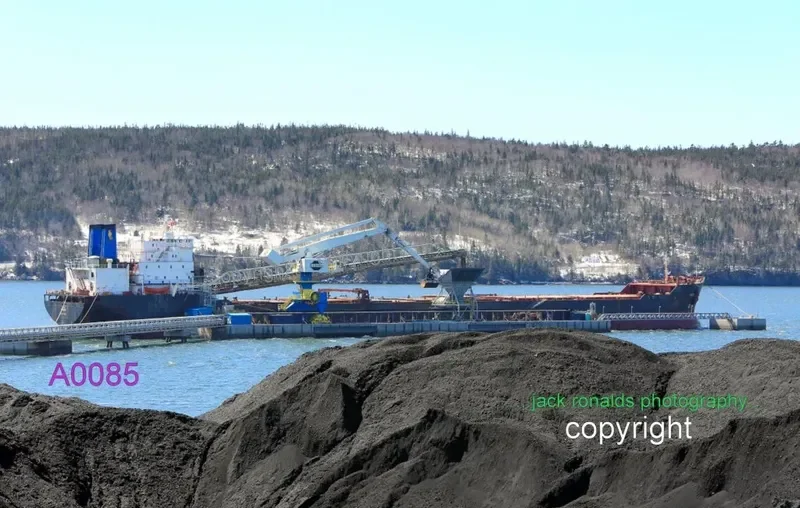 PIONEER Bulk Carrier IMO 7925613 photo 6