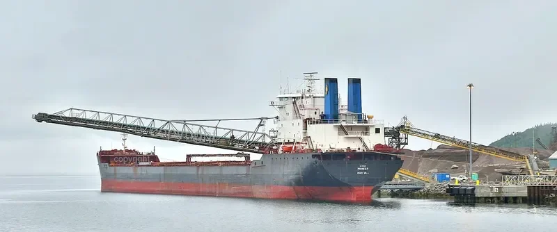 PIONEER Bulk Carrier IMO 7925613 photo 10