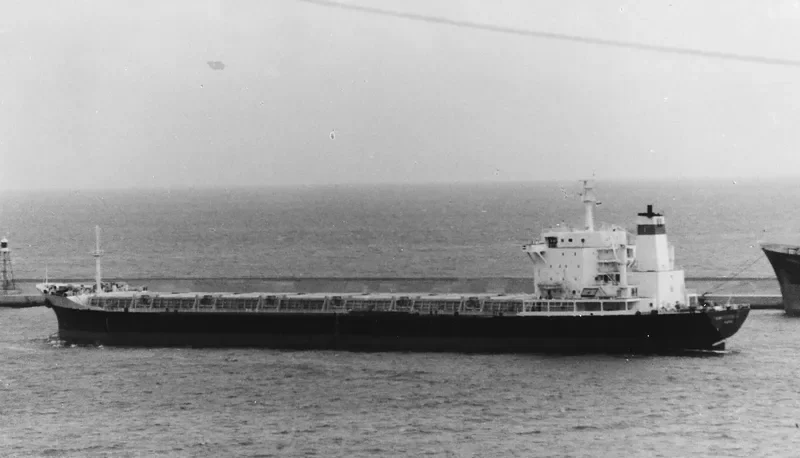 FLORIN Bulk Carrier IMO 7925869