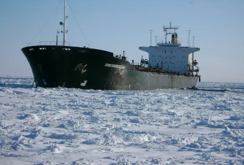 DONG SHENG OCEAN Bulk Carrier IMO 7925936