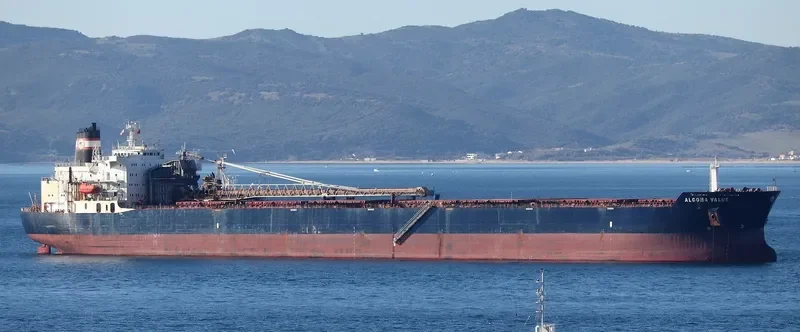ALGOMA VALUE Bulk Carrier IMO 7926148