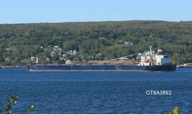 ALGOMA VALUE Bulk Carrier IMO 7926148 photo 2