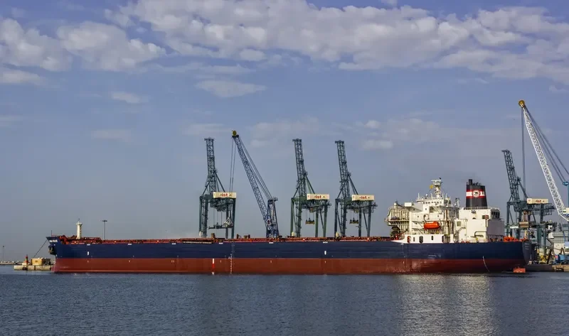 ALGOMA VALUE Bulk Carrier IMO 7926148 photo 10