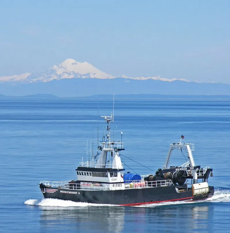 WESTWARD I Fishing Vessel IMO 7926473 photo 7