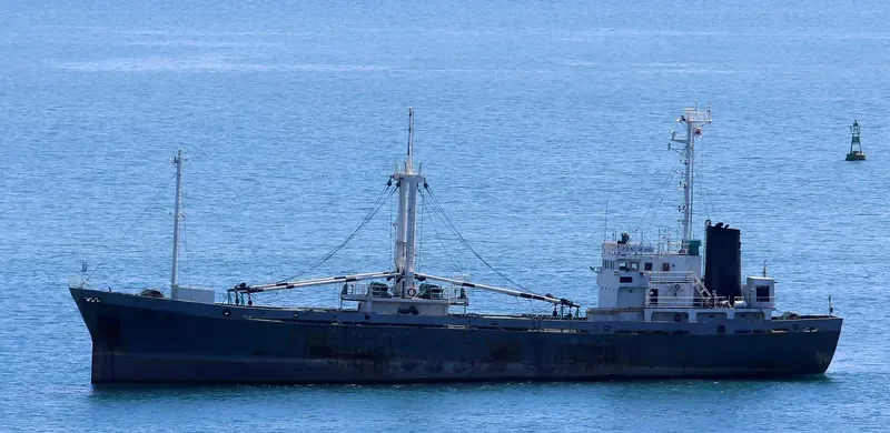 DO WON General Cargo IMO 7927037 photo 4