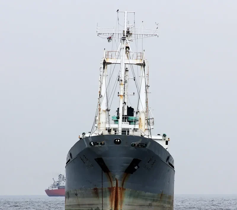 DO WON General Cargo IMO 7927037 photo 6