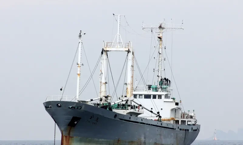 DO WON General Cargo IMO 7927037 photo 7