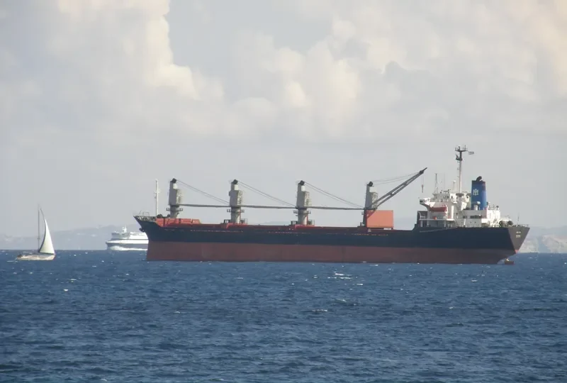 MERAKI Bulk Carrier IMO 7927491