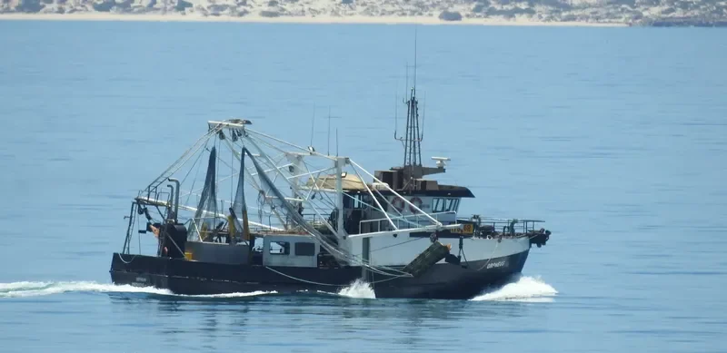 K.F.V.ORPHEUS Fishing Vessel IMO 7927570
