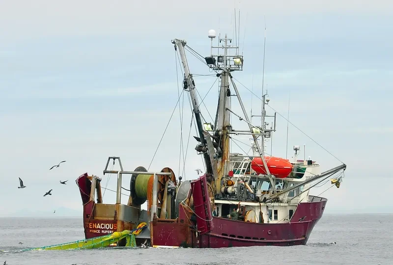 TENACIOUS Fishing Vessel IMO 7927776 photo 5