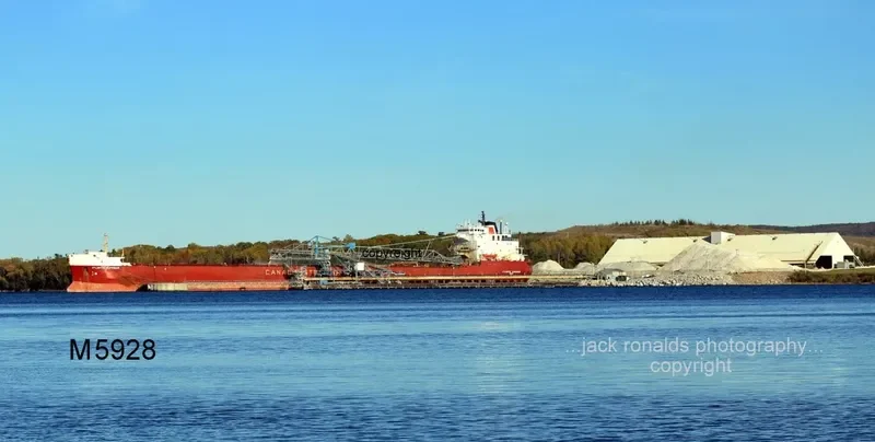 ATLANTIC SUPERIOR Bulk Carrier IMO 7927805 photo 2