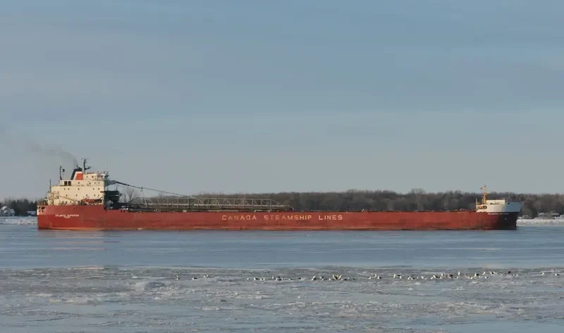 ATLANTIC SUPERIOR Bulk Carrier IMO 7927805 photo 7