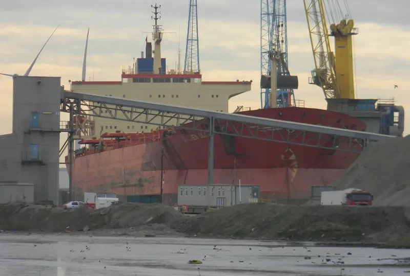 GOLDEN GLOW Bulk Carrier IMO 7928122 photo 2