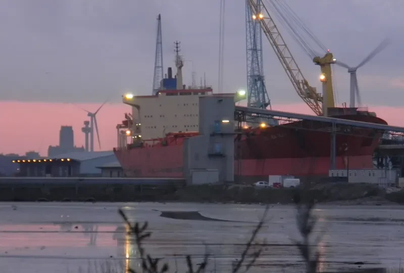 GOLDEN GLOW Bulk Carrier IMO 7928122 photo 3
