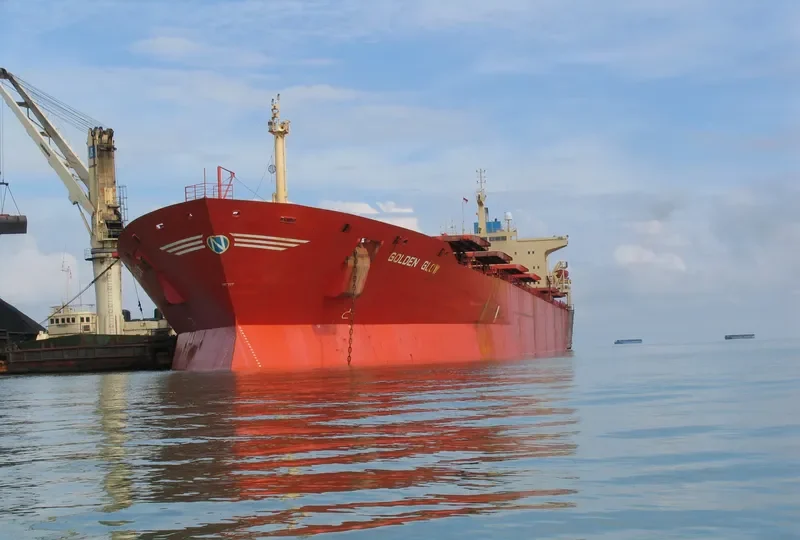 GOLDEN GLOW Bulk Carrier IMO 7928122 photo 4