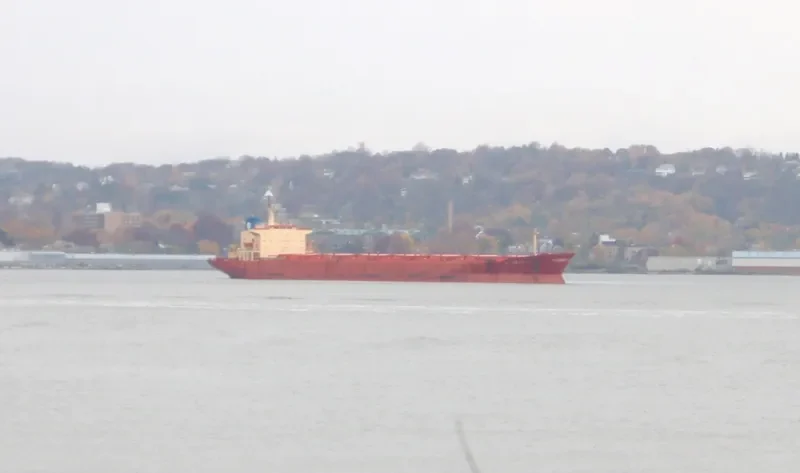 GOLDEN GLOW Bulk Carrier IMO 7928122 photo 5