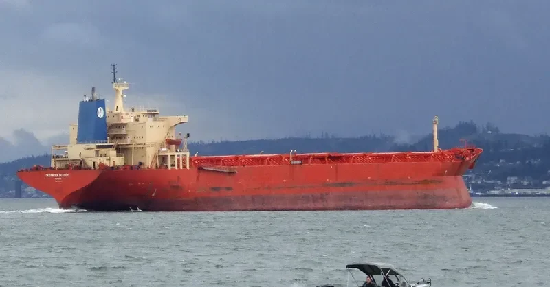 GOLDEN GLOW Bulk Carrier IMO 7928122 photo 7