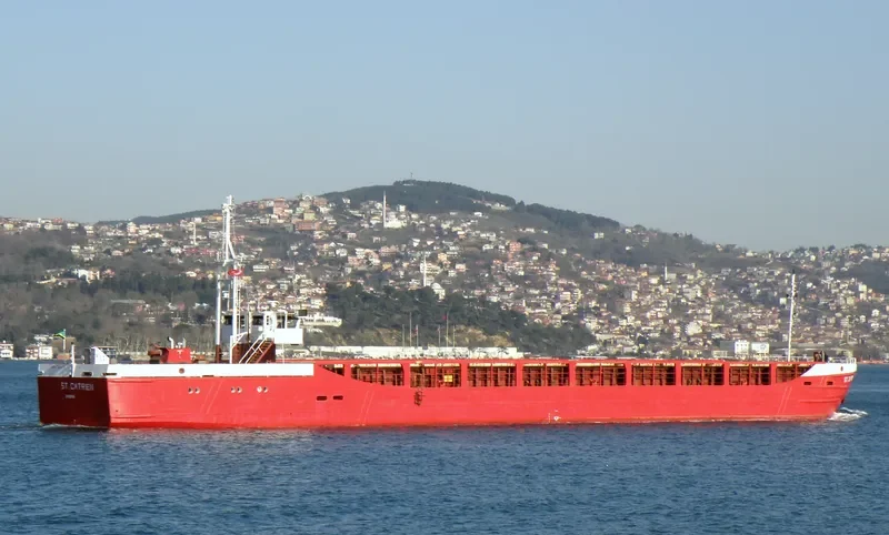 ST.CATRIEN General Cargo IMO 7928770 photo 9