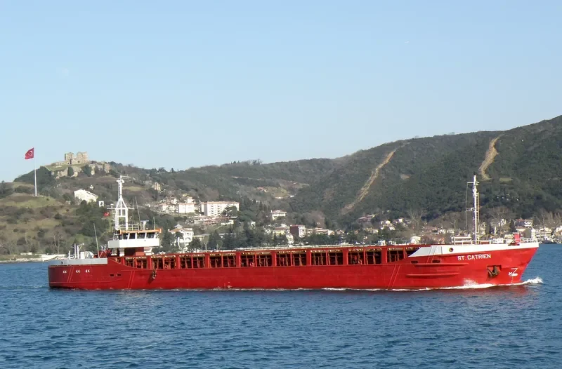 ST.CATRIEN General Cargo IMO 7928770 photo 10