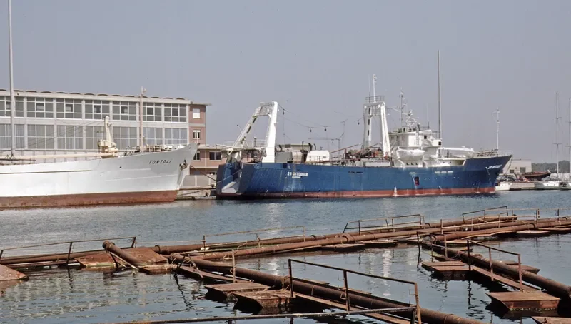 RUECA 1 Fishing Vessel IMO 7928988