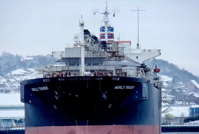 WORLD TRADER Bulk Carrier IMO 7929293 photo 5