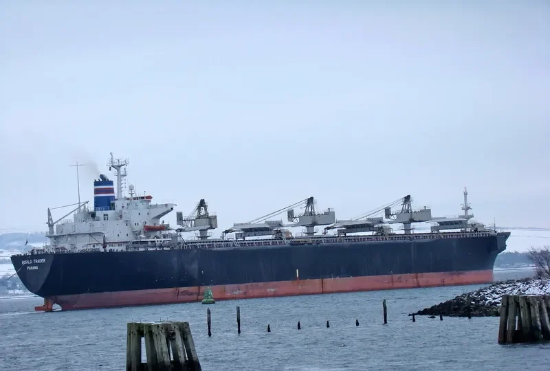 WORLD TRADER Bulk Carrier IMO 7929293 photo 6