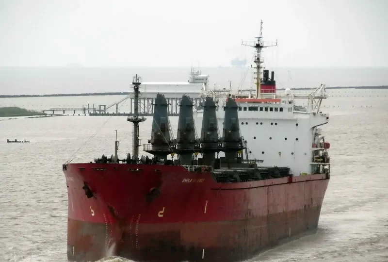 MISSISSIPPI ENTERPRISE Bulk Carrier IMO 7929308 photo 7