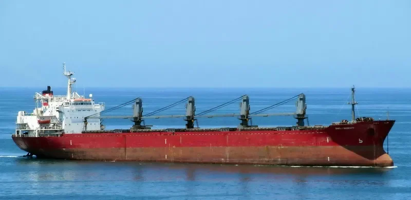 MISSISSIPPI ENTERPRISE Bulk Carrier IMO 7929308 photo 10