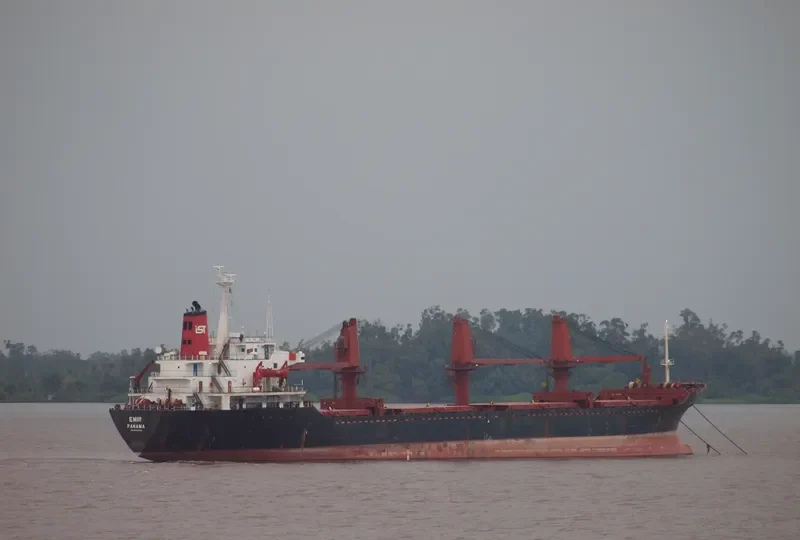 OCEAN CROWN Bulk Carrier IMO 7930058