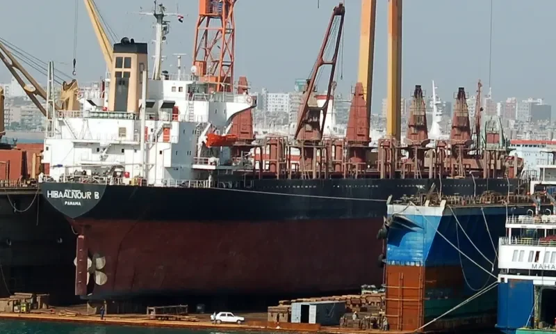 HIBA ALNOUR B Bulk Carrier IMO 7930072 photo 2