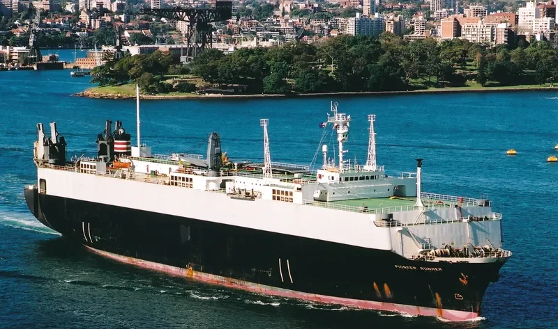 PIONEER RUNNER General Cargo IMO 7930242