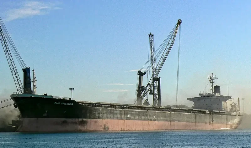 LOVELY FALCON Bulk Carrier IMO 7930357