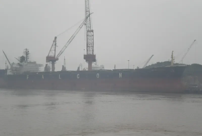 LOVELY FALCON Bulk Carrier IMO 7930357 photo 2