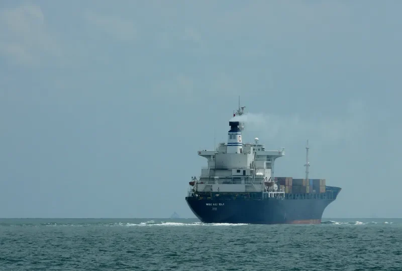 MSC NEFELI Container Ship IMO 7930668 photo 5