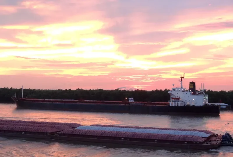 HAYDAR Bulk Carrier IMO 7930682