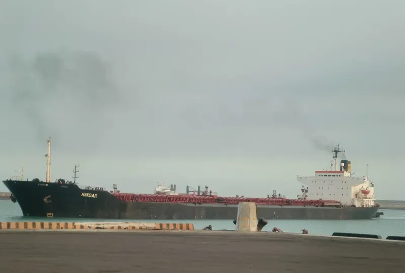 HAYDAR Bulk Carrier IMO 7930682 photo 4