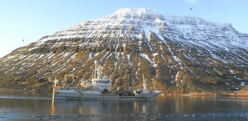 ZANDER 2 General Cargo IMO 7931076 photo 9