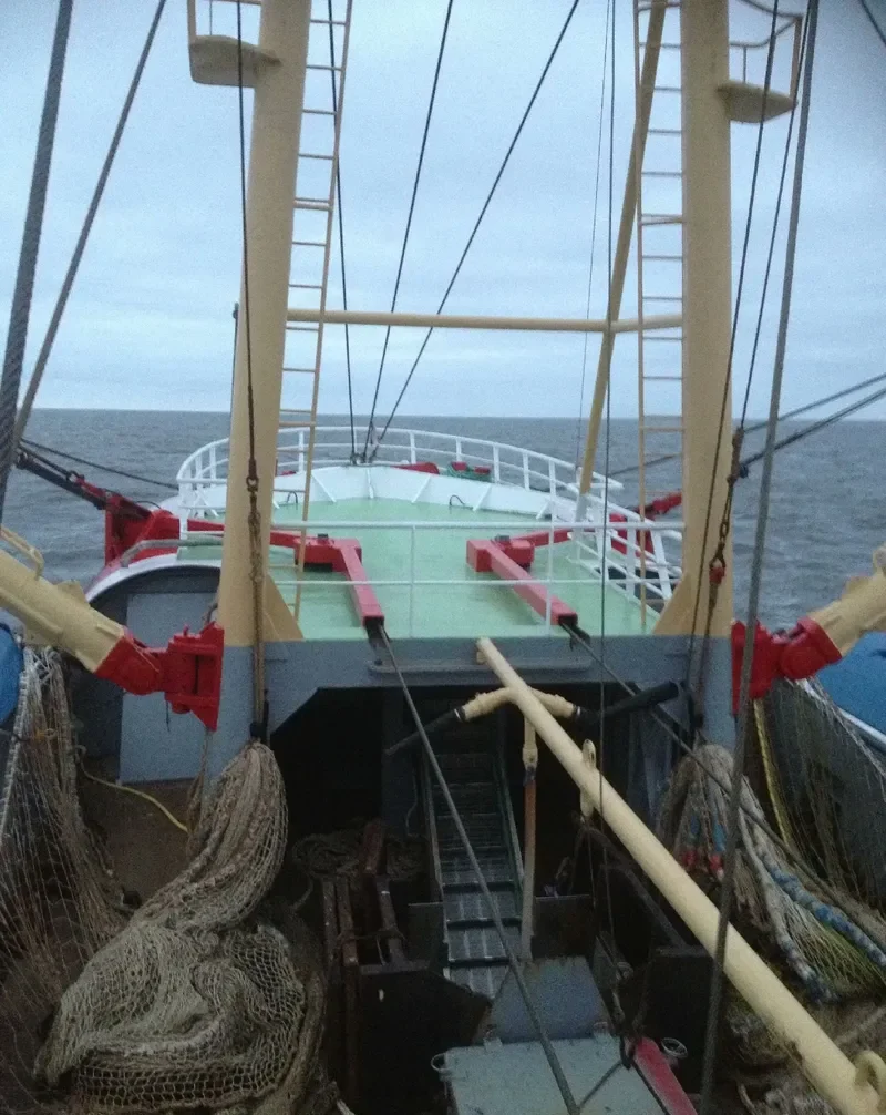 HANNY General Cargo IMO 7931284 photo 8