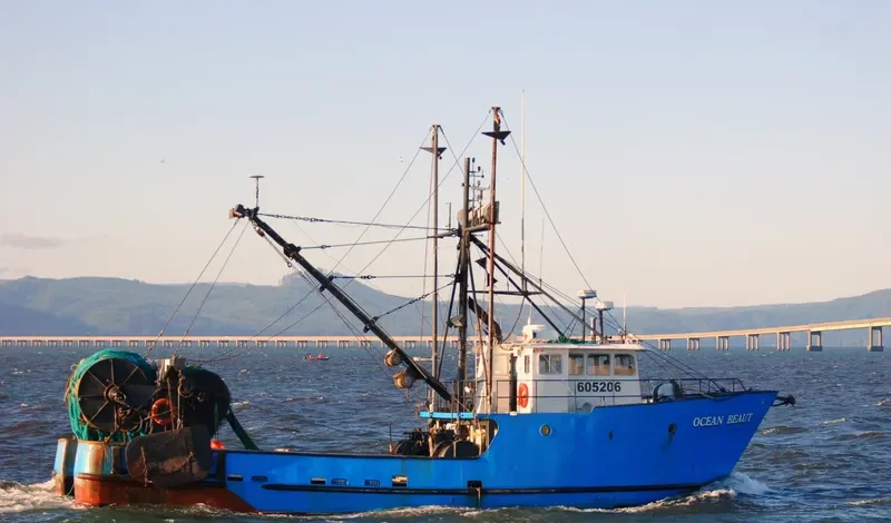 OCEAN BEAUT Fishing Vessel IMO 7932185 photo 3