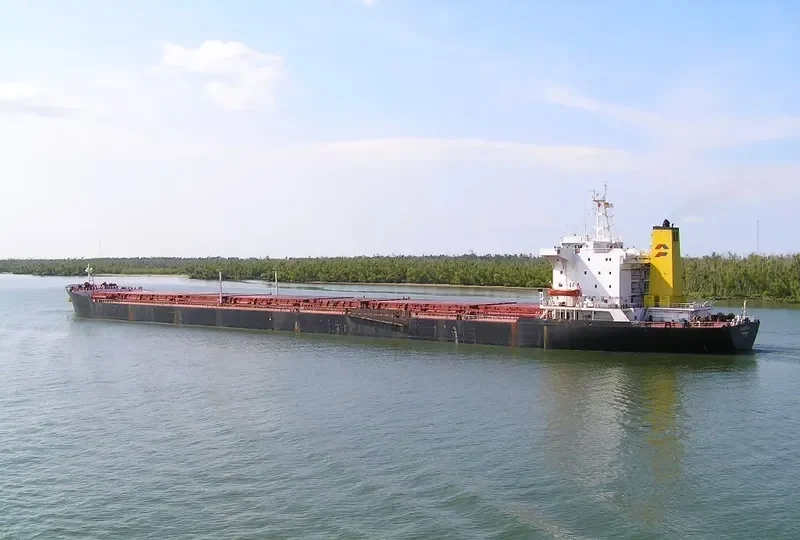 SEA STAR 7 Bulk Carrier IMO 7932549 photo 2