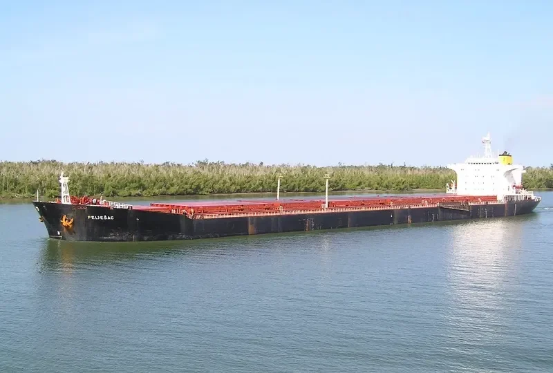 SEA STAR 7 Bulk Carrier IMO 7932549 photo 3