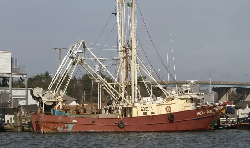 SHEILA RENE General Cargo IMO 7933464 photo 3
